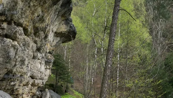 Aprilbild 2017