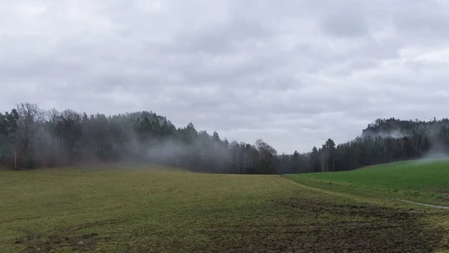 Auf zum Bärenstein