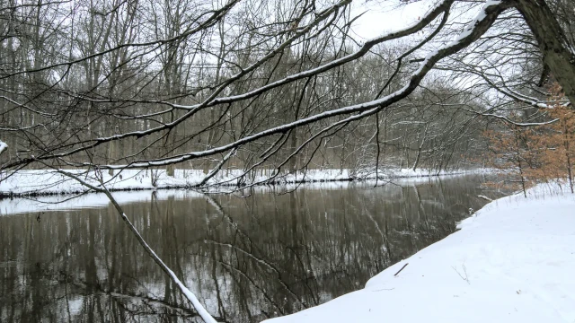 Die Pleiße im Leipziger Auwald am 7. Februar