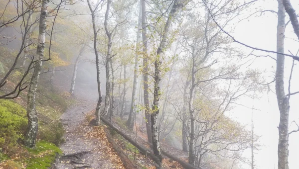 oberer Zugang zur Rotkehlchenstiege