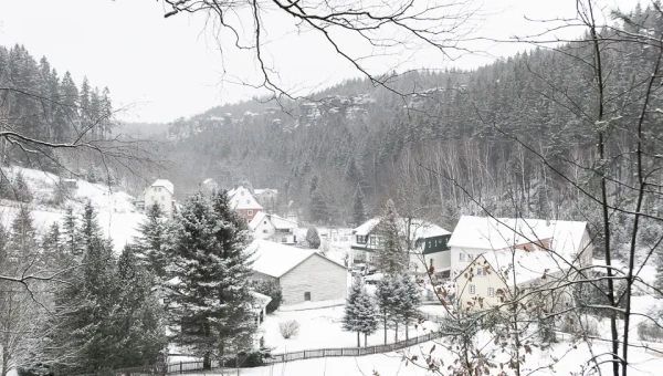 Januarbild 2019