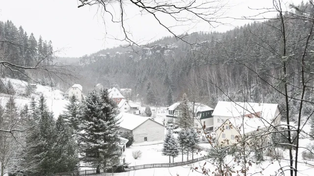 Januarbild 2019