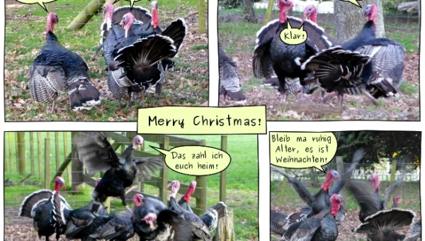 Merry Christmas!