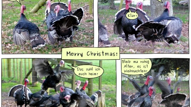 Merry Christmas!