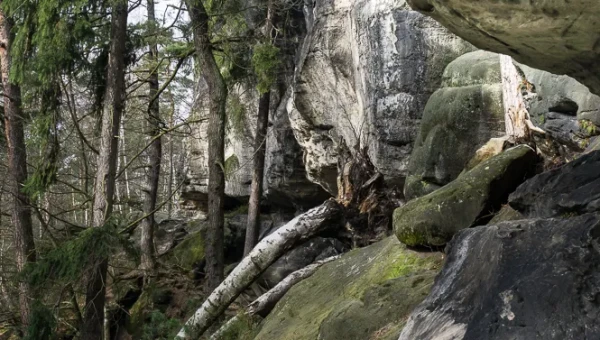 Auf dem Bergangsteig im Polenztal.