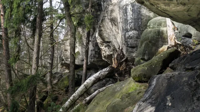 Auf dem Bergangsteig im Polenztal.
