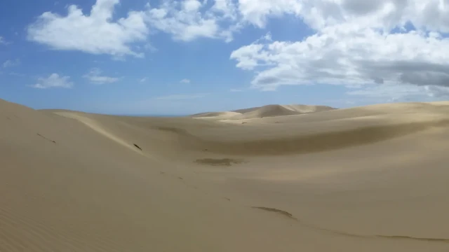 In den Giant Sand Dunes von Te Paki.