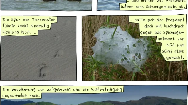 Wahlen am Farewell Spit