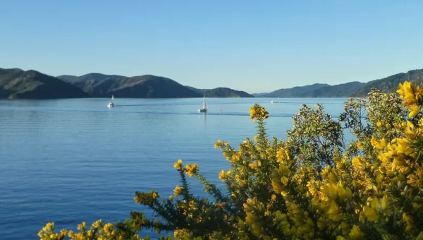 Queen Charlotte Sound vom Snout Point aus geknipst