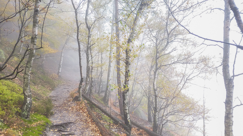 oberer Zugang zur Rotkehlchenstiege