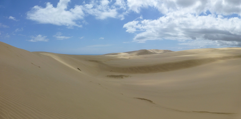 In den Giant Sand Dunes von Te Paki.