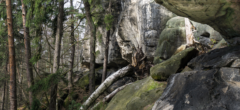 Auf dem Bergangsteig im Polenztal.