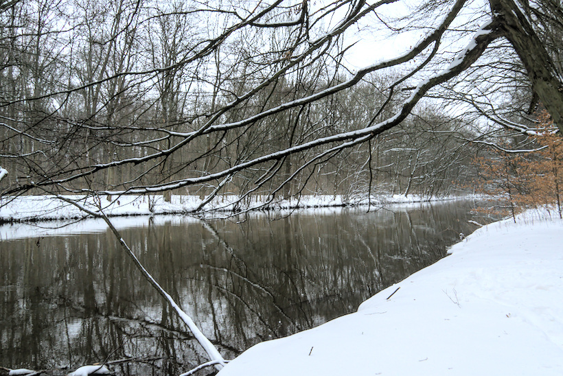 Die Pleiße im Leipziger Auwald am 7. Februar