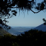 genialer Ausblick bis zur Tasman Sea