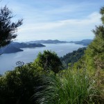 Blick übers Endeavour Inlet  zum QC Sound.