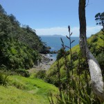 Eine kleine Bay am Coromandel Peninsula Walk.