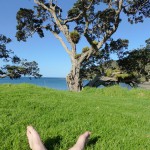 Mein Ausblick im Stoney Bay Campsite.