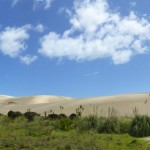Giant Sand Dunes von Te Paki.