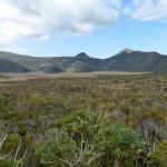 Riesiges Sumpfgebiet am Fuße von Mt. Egmont.