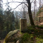 Brüche im Wald?