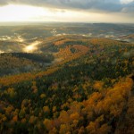 Herbst!