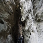 In der Wolfsschlucht am Hockstein.