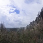 Die Bäume glizern mit tausenden Wassertröpchen.