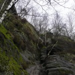 Letztes Stück der Rotkehlchenstiege.