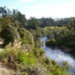 Waikato River