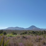 rechts im Bild: der Mt Ngauruhoe