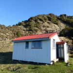 Mt. Hikurangi Hut