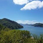 Der Queen Charlotte Sound